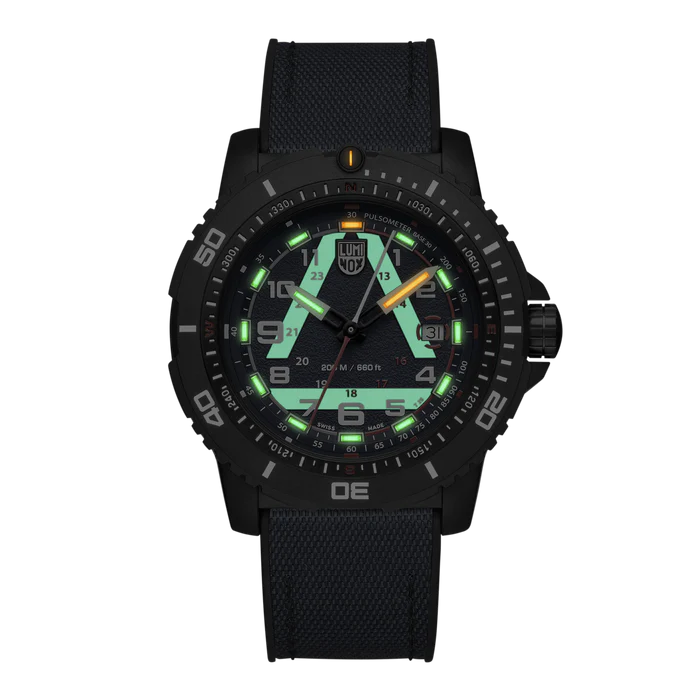 LUMINOX - ICE-SAR