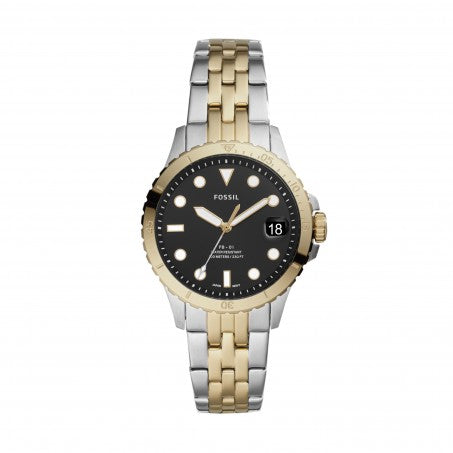 FOSSIL - FB 01